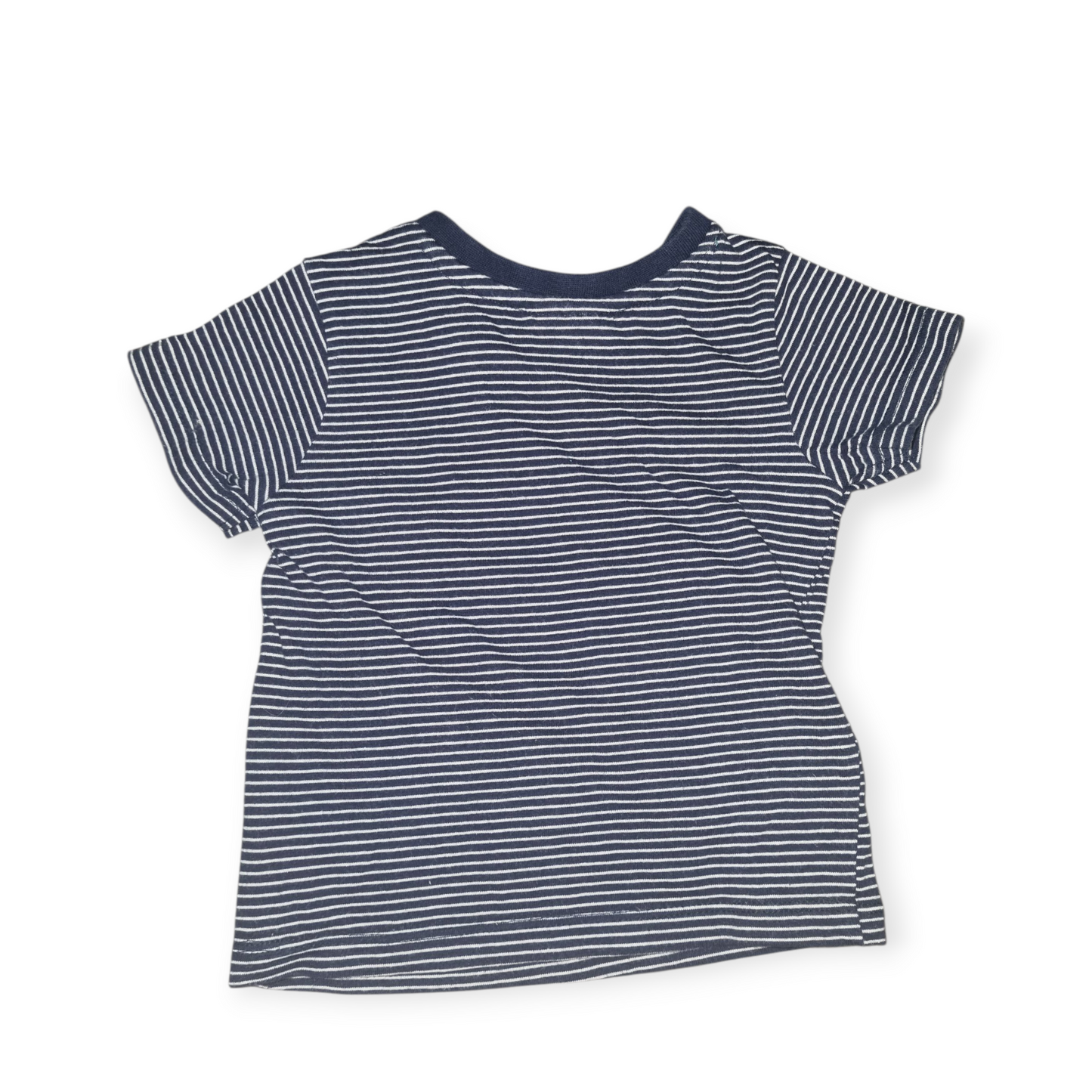 Sprout - Dinosaur Striped T-shirt - Size 000